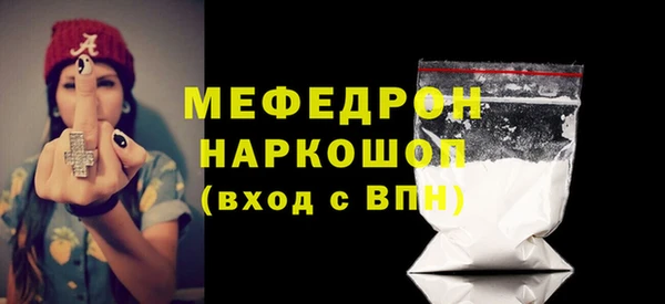 гашик Каменка