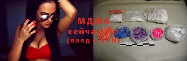 гашик Каменка