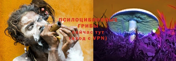 крисы Каменск-Шахтинский