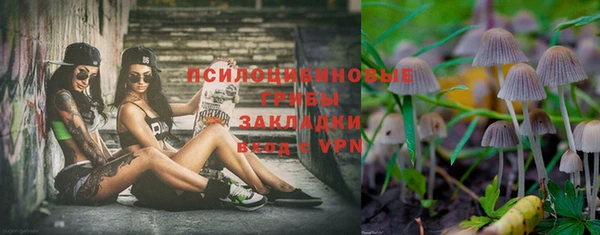 гашик Каменка