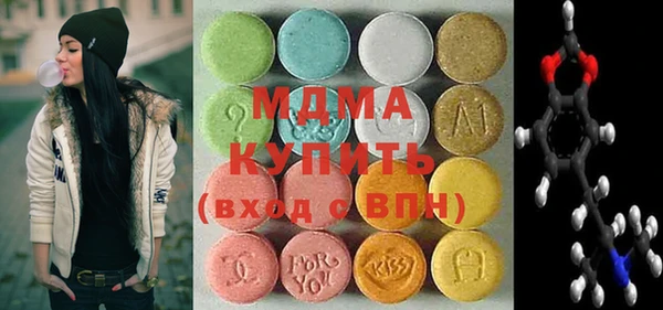 гашик Каменка