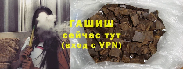 гашик Каменка